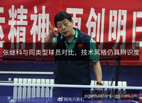 张继科与同类型球员对比，技术风格仍具辨识度
